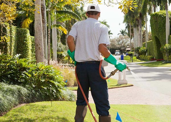 About New Sarpy LA Pest Control